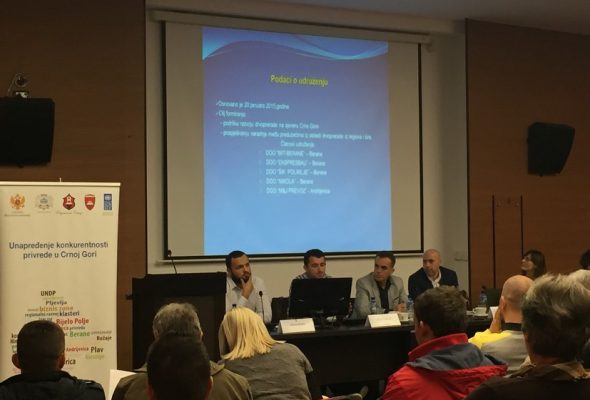 prezentacija tivat 3